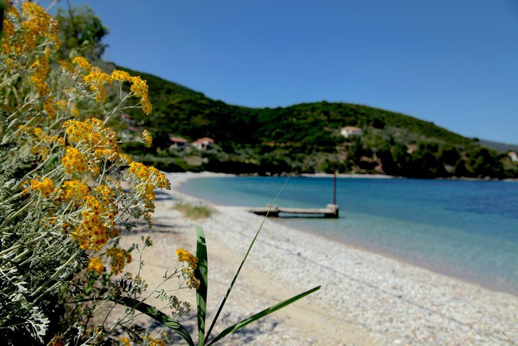 Casa Kalypso Suites & Villa Steni Vala Alonissos エクステリア 写真